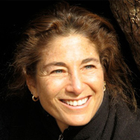 Tara Brach, PH.D.