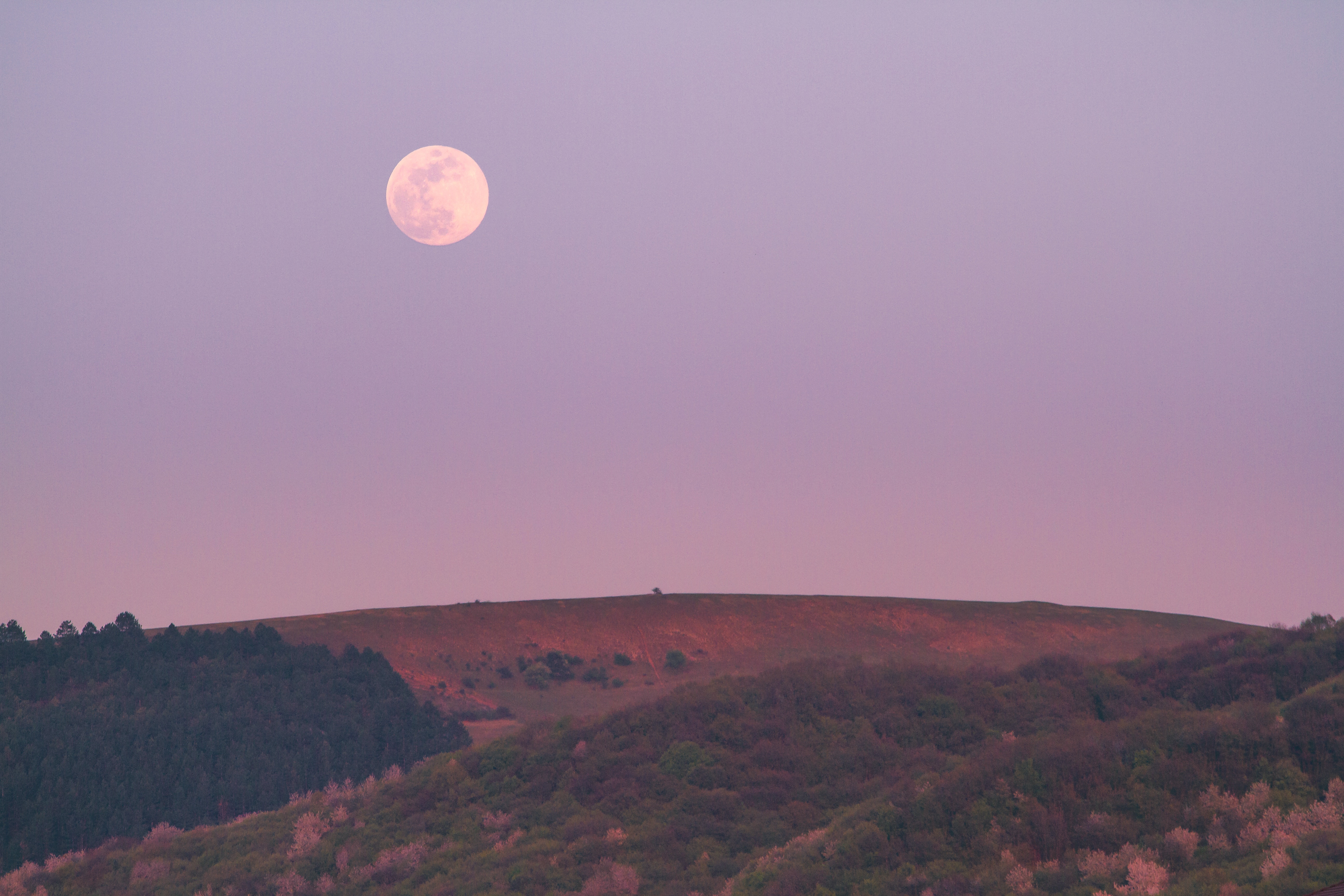 Shoot the Moon