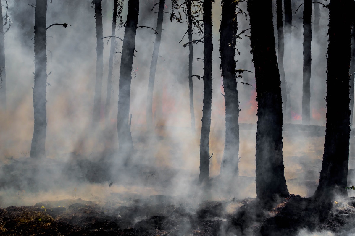 From Smoke