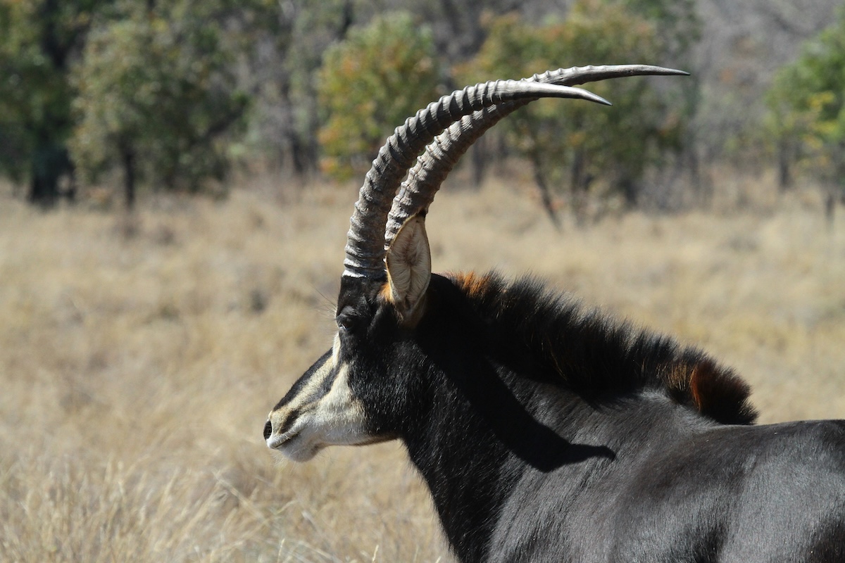 What does it mean to feel hurt?